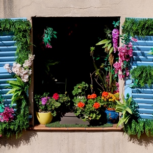 Fenêtre et volets bleus décorés de plantes - France  - collection de photos clin d'oeil, catégorie rues